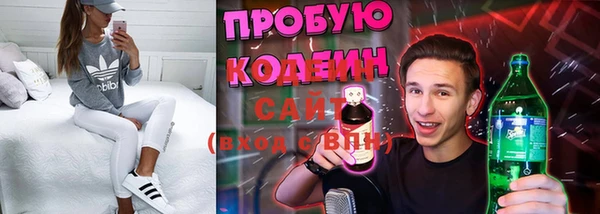 индика Надым