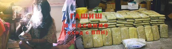 индика Надым