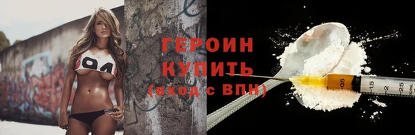 индика Надым