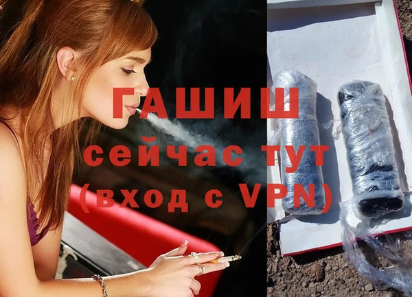индика Надым