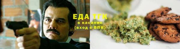 индика Надым