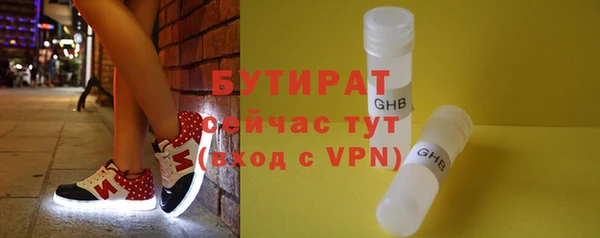 индика Надым