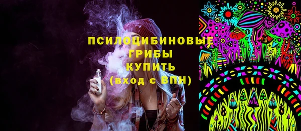 индика Надым