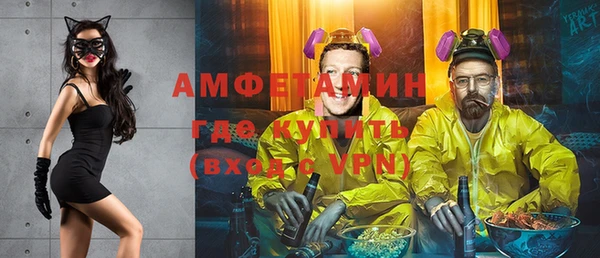 индика Надым