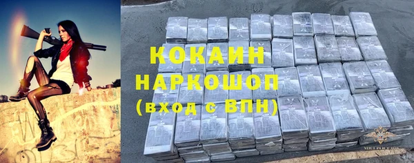 индика Надым