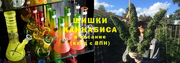 индика Надым