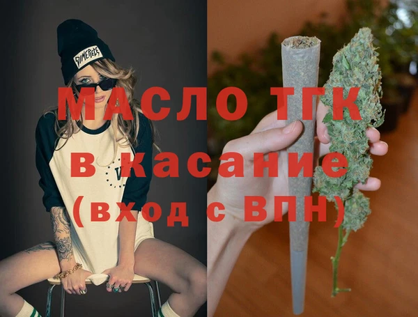 индика Надым