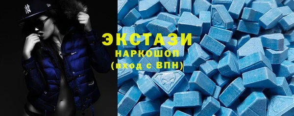 индика Надым