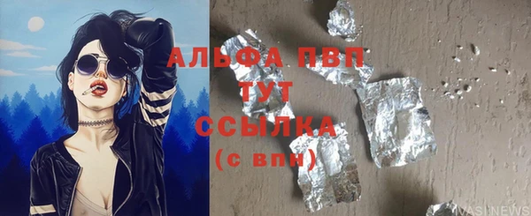 индика Надым