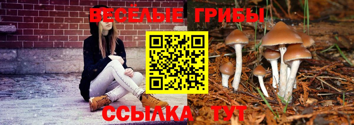 Галлюциногенные грибы Psilocybe  Вход с VPN  Галлюциногенные грибы GOLDEN TEACHER  Ялта 